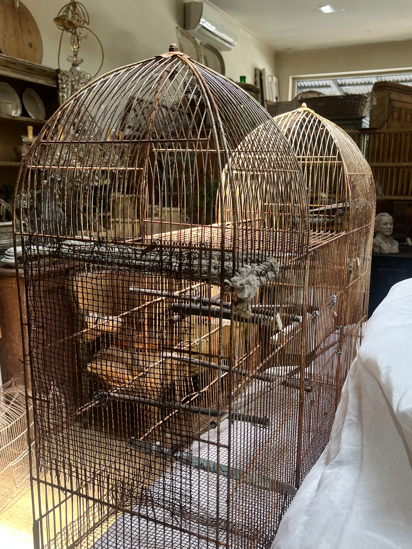 Large antique birdcage