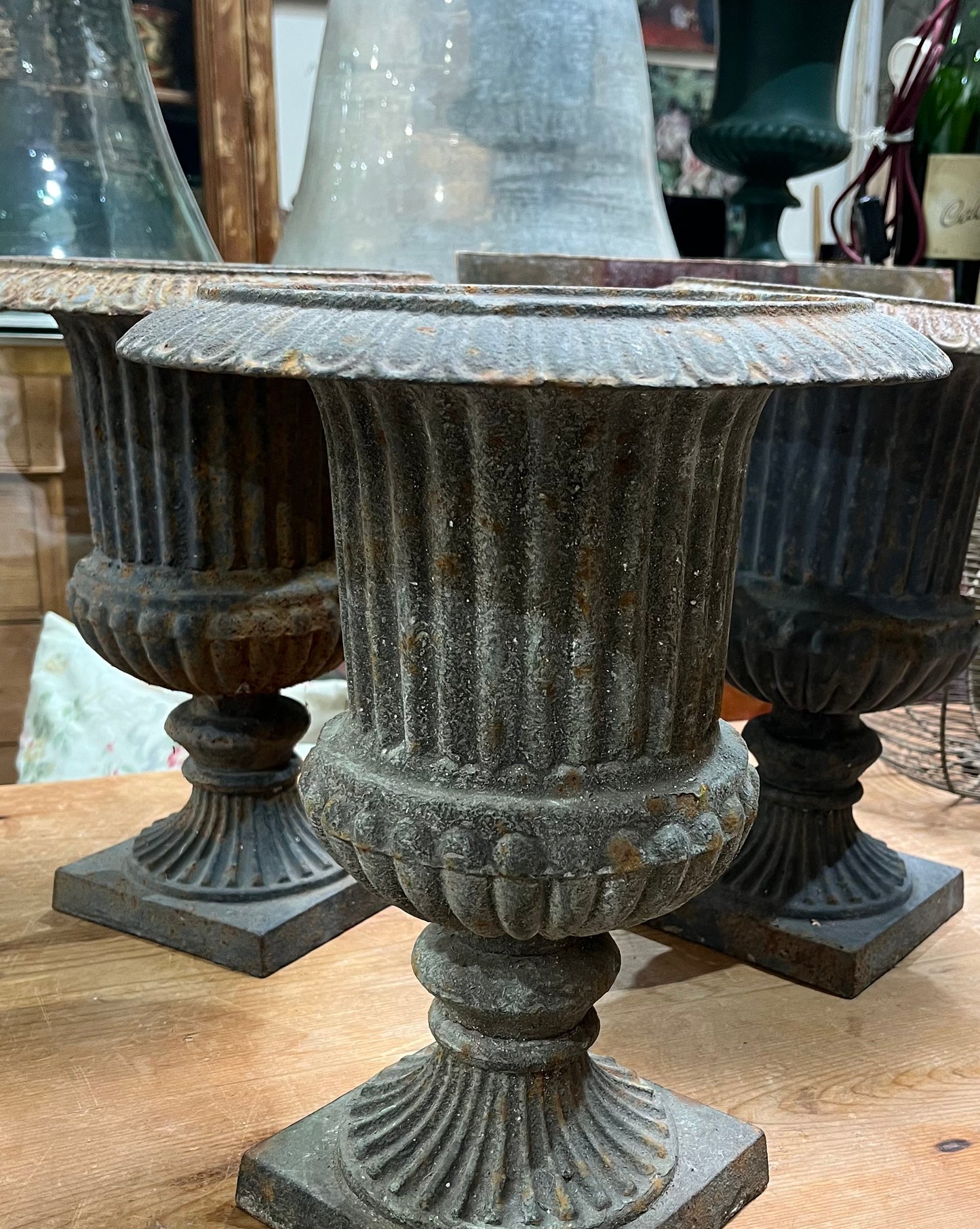 French urn