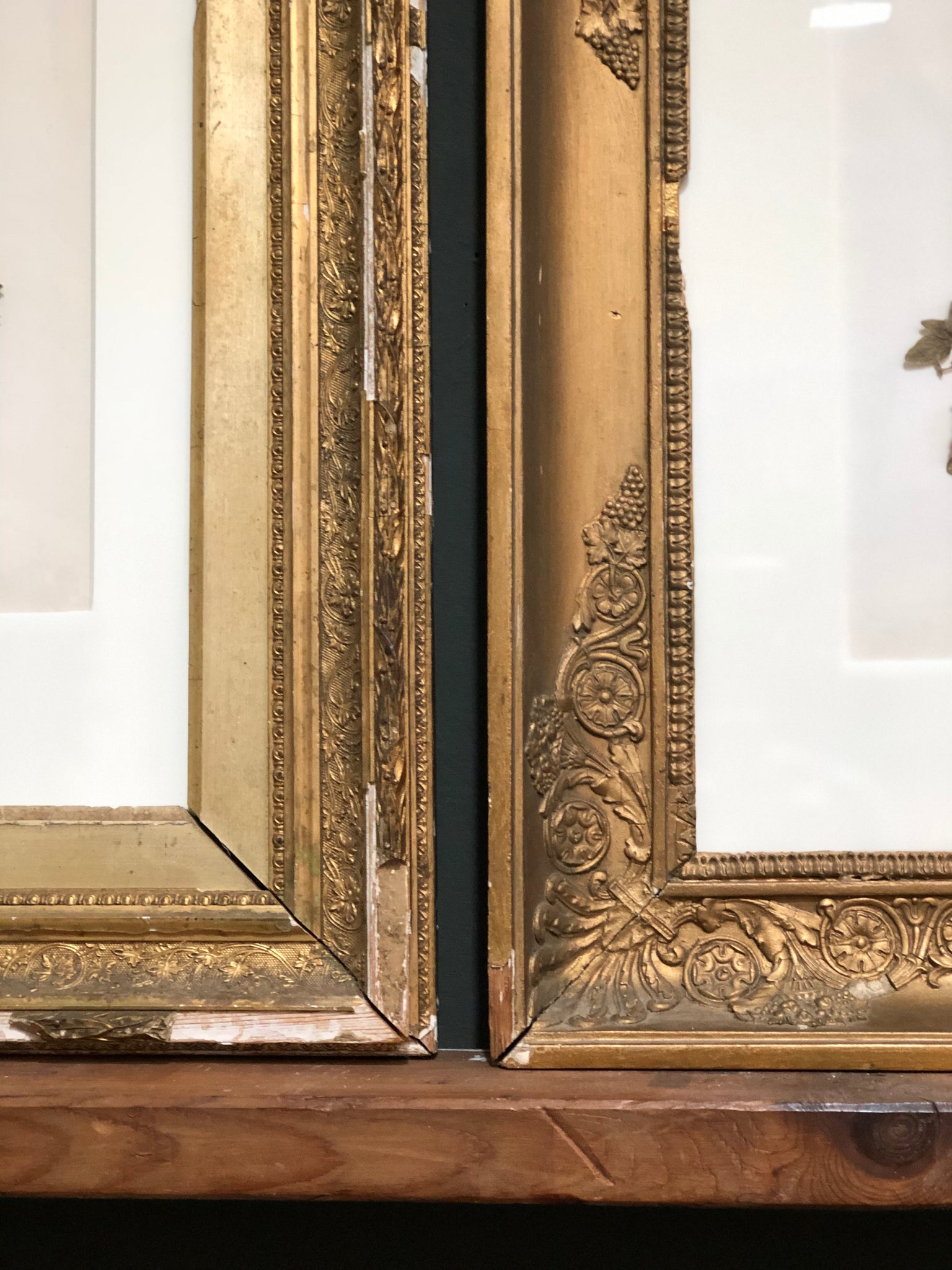 Gorgeous antique framed botanical